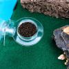 Reptile Feeding Dish - Multi-Purpose for Small Animals view 3