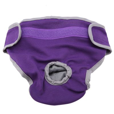 Cocoarm Premium Female Dog Physiological Pants (M)