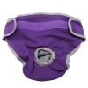 Cocoarm Premium Female Dog Physiological Pants (M) view 1