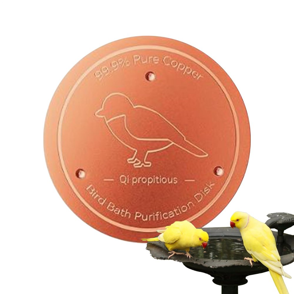 Copper Bird Bath Disc
