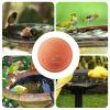 Copper Bird Waterer Cleaning Disc view 4