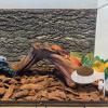 Reptile Food and Water Bowl view 3