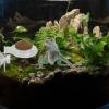 Reptile Food and Water Bowl view 4