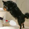 Sulxyi Dog Urine Collector | Telescopic Puppy Urine Grabber view 3