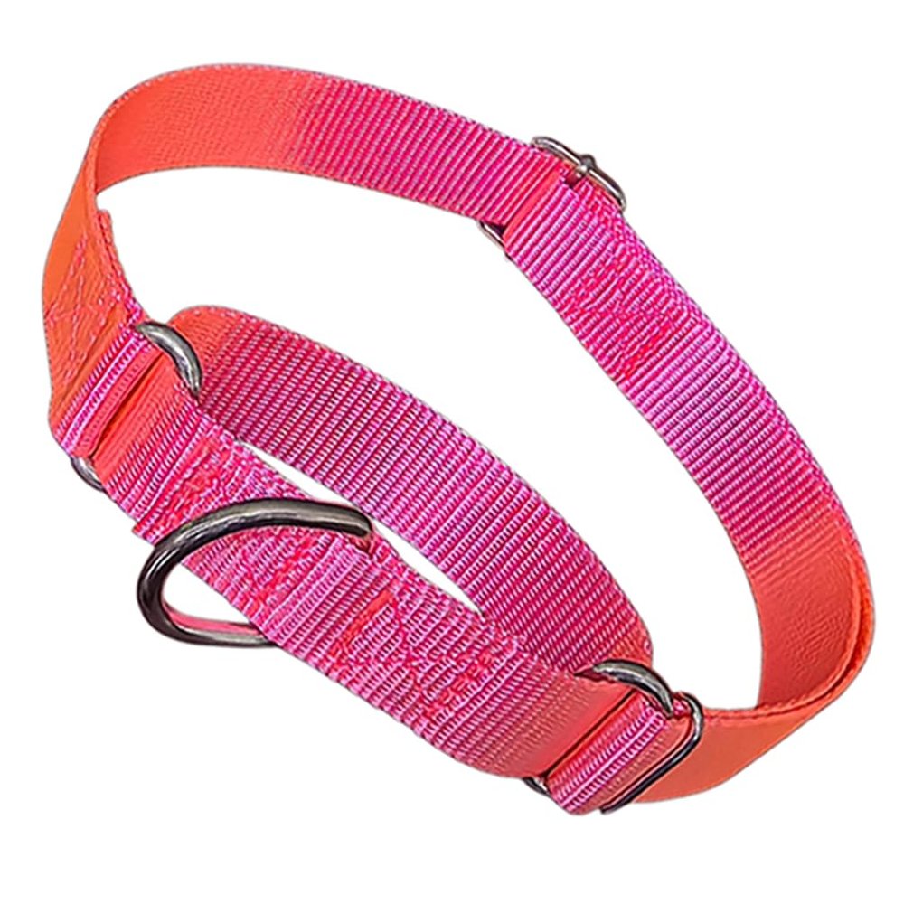 Martingale Collar for Dogs, Hot Pink, Size S