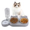 3-in-1 Elevated Cat Food and Water Bowl Set, 15° Tilted, Gray view 1