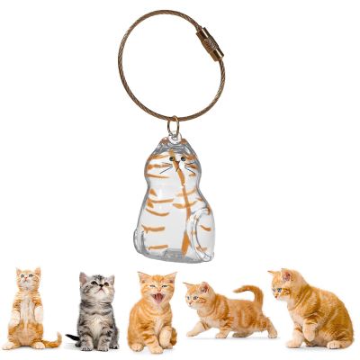 Cat Hair Collection Keychain