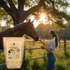 Organic Linseed Cake Pellets 10 kg for Horses | 100% German Organic Linseed, Cold-Pressed view 3