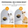 Wall-Mounted Elevated Pet Food Bowl for Dogs view 2