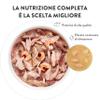 Schesir Tuna with Squid in Jelly, Complete Wet Cat Food, 6 x 85 g view 3