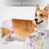 Soft Period Pants with Colorful Pattern for Dogs view 2