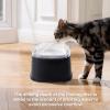 Leakproof Dog Water Bowl with Non-Slip Base, Large Capacity view 3