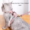 Leash and Harness for Cats and Puppies view 2