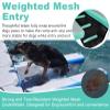 Inflatable Dog Water Ramp and Pool Platform, Cyan/White view 4
