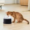 Splash-Resistant Dog Water Bowl for Medium and Large Dogs, 2-Liter Capacity view 3