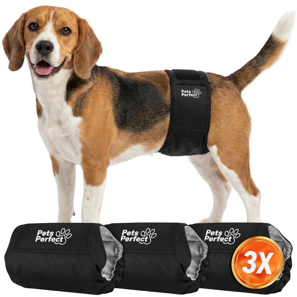 Pets Perfect Reusable Male Dog Diapers, 5-Layer, Washable