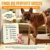 Pets Perfect Reusable Male Dog Diapers, 5-Layer, Washable view 3