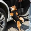 Support Harness for Senior Dogs with Leg Support and Carrying Strap view 2