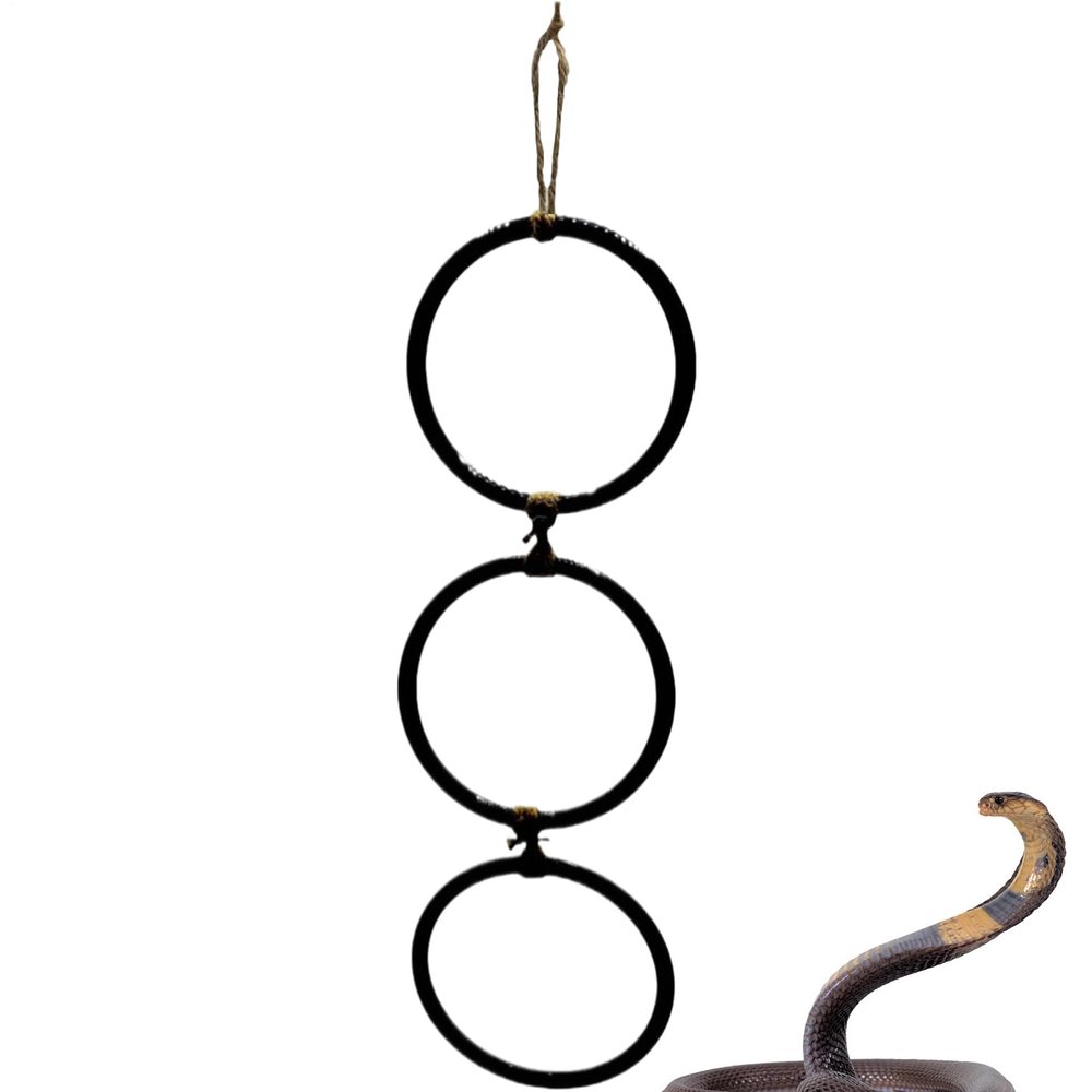 Snake Enrichment Rings for Reptile Terrariums
