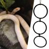 Snake Enrichment Rings for Reptile Terrariums view 2