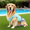 Cooling Vest for Dogs view 3