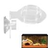 Reptile Feeding Dish and Accessories view 1