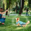 Cooling Vest for Dogs view 2