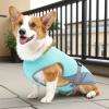 Cooling Vest for Dogs view 3