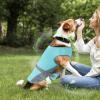 Cooling Vest for Dogs - Summer Cooling Shirt with UV Protection view 2