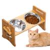 Elevated Dog Bowl Feeding Station for Food and Water view 1