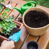 Cut-to-Size Plant Pot Cover Mesh Barrier for Indoor and Outdoor Use view 3