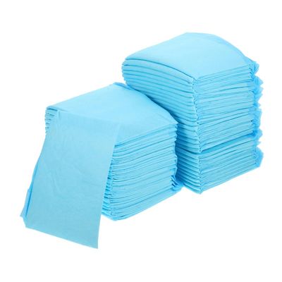 Toyvian 100-Count Pet Training Pads, Ultra-Absorbent Disposable Puppy Pads for Dogs and Cats, for Training Small Pets