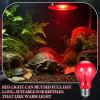 Reptile Heat Lamp 100W view 2