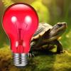 Reptile Heat Lamp 100W view 3