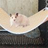 JOINPAYA Hamster Hammock for Small Pets view 4