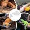 yybng Reptile Feeding Bowl view 4