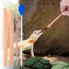 Generic Reptile Feeding Tweezers view 3