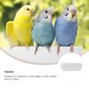 ifundom Durable Plastic Pigeon Feeder - 10 Pack view 3