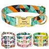 LYVQZPWLR Dog Harness with Tool, Fashion Nylon Print Leash Collar (147 Orange, 30 to 42 cm) view 2