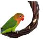 Toddmomy Apple Wood Bird Swing with Bell view 4