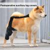 Adjustable Rear-Leg Dog Brace with Non-Slip Knee Support view 3