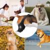 Adjustable Rear-Leg Dog Brace with Non-Slip Knee Support view 4