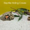 Reptile Cave Shelter, 6.3 x 5.31 x 2.95 in view 4