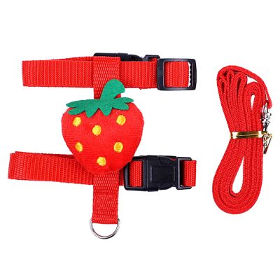 Small Animal Harness and Leash Set