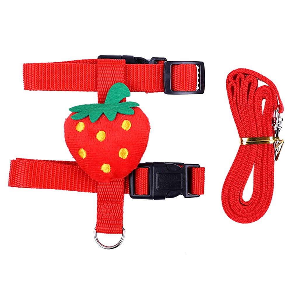 Small Animal Harness and Leash Set