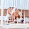 Anti-Kick Pedal Support Feet for Pet Gate view 2