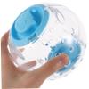 Hamster Exercise Ball for Hamsters and Small Pets view 4