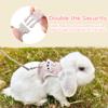 NJCXOLA Rabbit Leash view 2