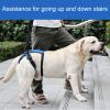 Dog Lift Harness for Rear Support and Mobility Assistance view 3
