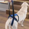 Dog Lift Harness for Rear Support and Mobility Assistance view 4